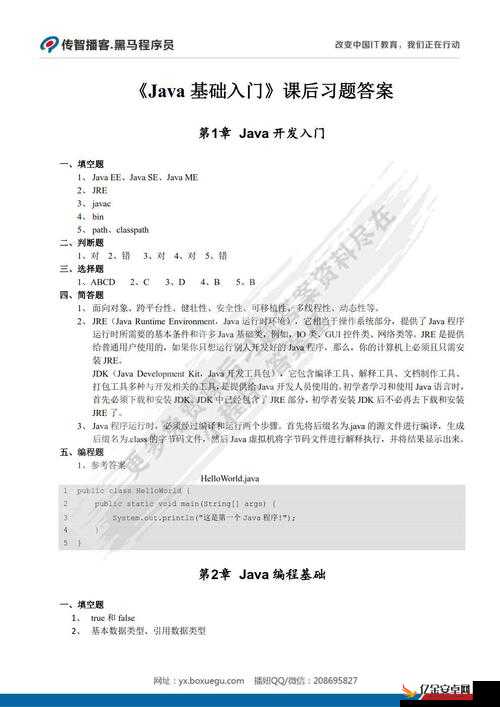 精品 JAVAPARSER 乱偷：解析与应用