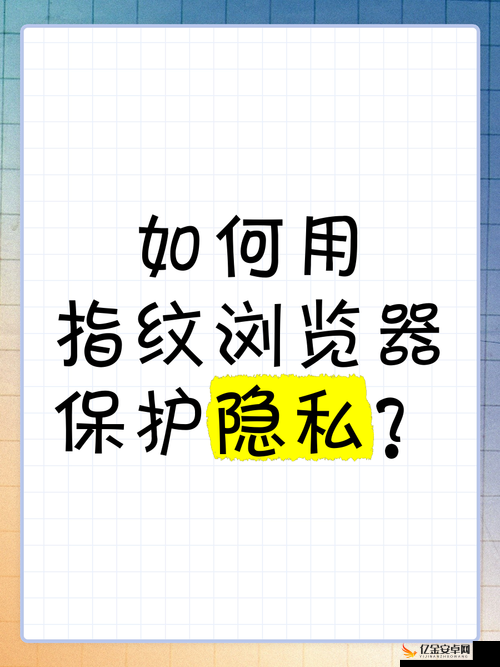 浏览器直接进入网站的注意事项：安全防护与隐私保护不可忽视